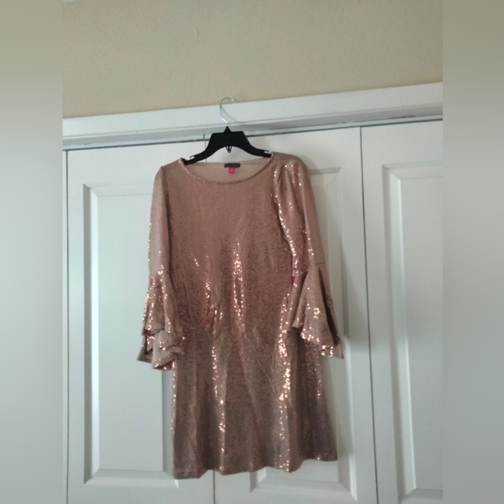 Sequin Bell Sleeve Dress
